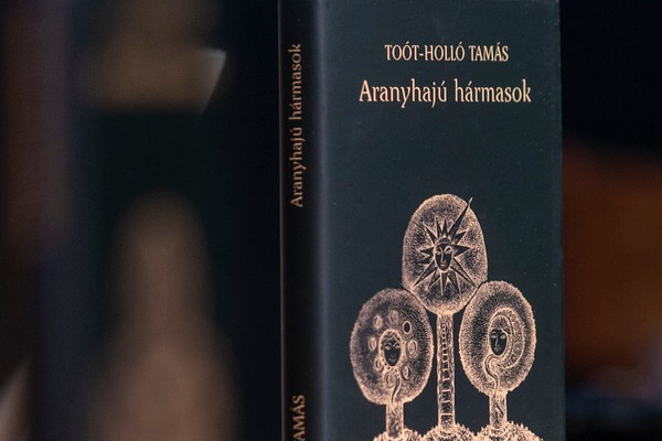 Fotó: Eöri Szabó Zsolt Az aranyhajú gyermekek születése II. rész
