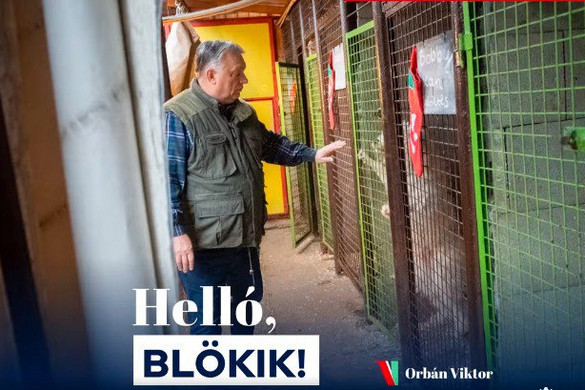 Orbán Viktor az ürömi állatotthonba vitt ajándékot