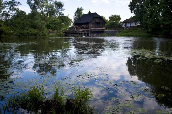 Határon átnyúló idősgondozás