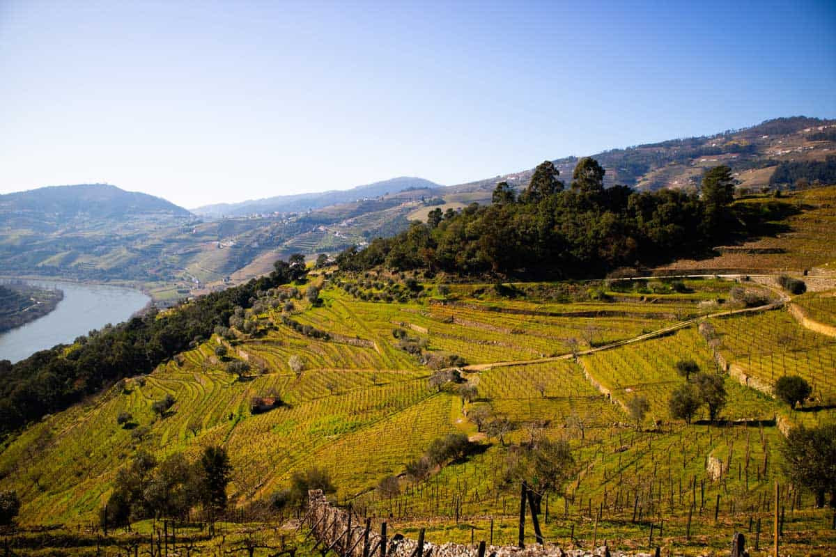 Fotó: Go World Travel Magazine Portugál vidék