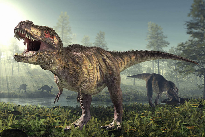 1000 kilométeren elterülő dinoszaurusz-keltetőhelyeket találtak Indiában