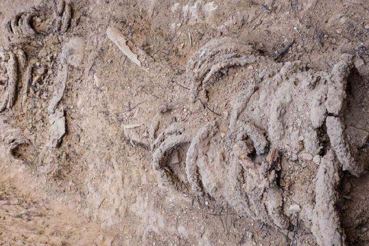 Egy leláncolt szerzetes csontvázára bukkantak
