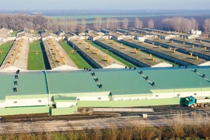 Modern sertéstelepeket adtak át Hajdú-Bihar vármegyében