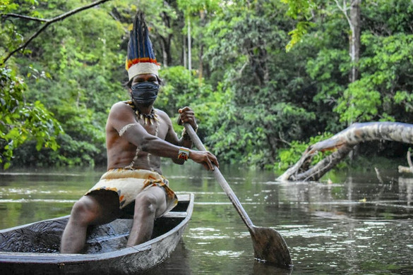 A őslakosok meghatározó szerepet játszanak a brazíliai atlanti-parti esőerdők védelmében