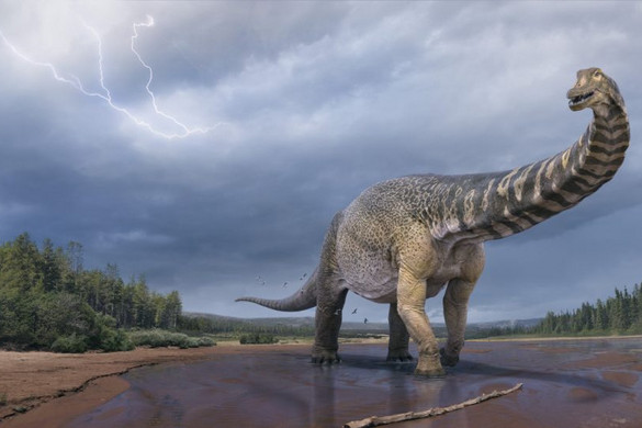Elképesztő dinoszaurusz-lábnyomokra bukkantak egy barlang… mennyezetén!