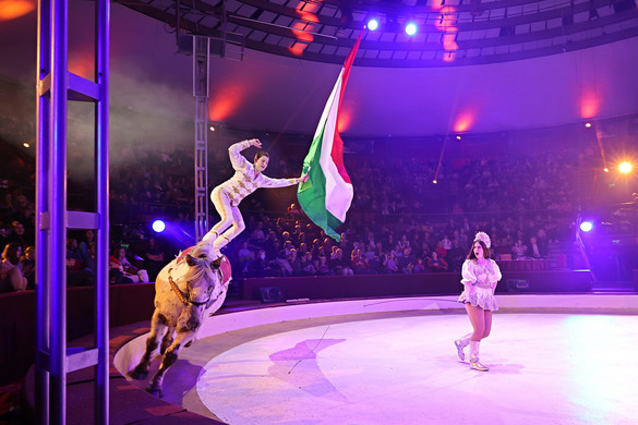 Balatonlellén, Zamárdiban és Budapesten is megrendezik a cirkuszok éjszakáját