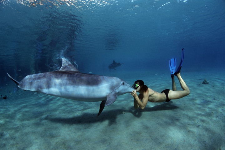 Fotó: Biosphoto via AFP/Jeffrey Rotman Ahol az ember és delfin közösen halászik