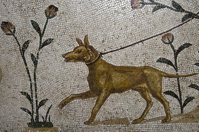 Fotó: artifactsmuseumhistory.blog Római kutyanevek