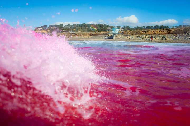 Pinkké változott az óceán San Diego partjainál
