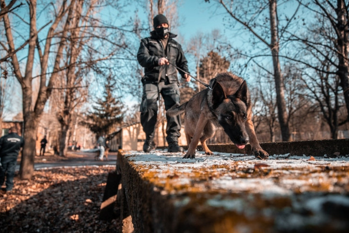 Fotó: Police.hu Áron, a szolgálati eb kerítette kézre a tolvajt + VIDEÓ