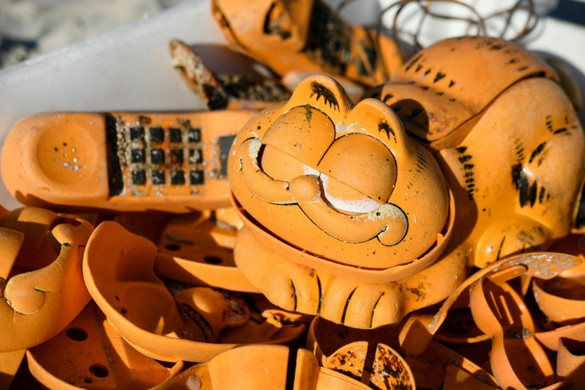 A partokon folyamatosan felbukkanó Garfield-telefonok rejtélyét egy helyi gazda oldotta meg