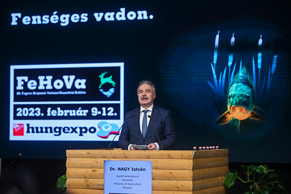 Megnyílt a 29. FeHoVa kiállítás + GALÉRIA