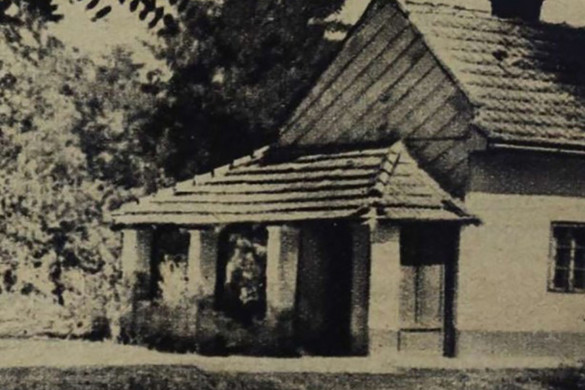 Holttestek a kútban – Jancsó Ladányi Piroska