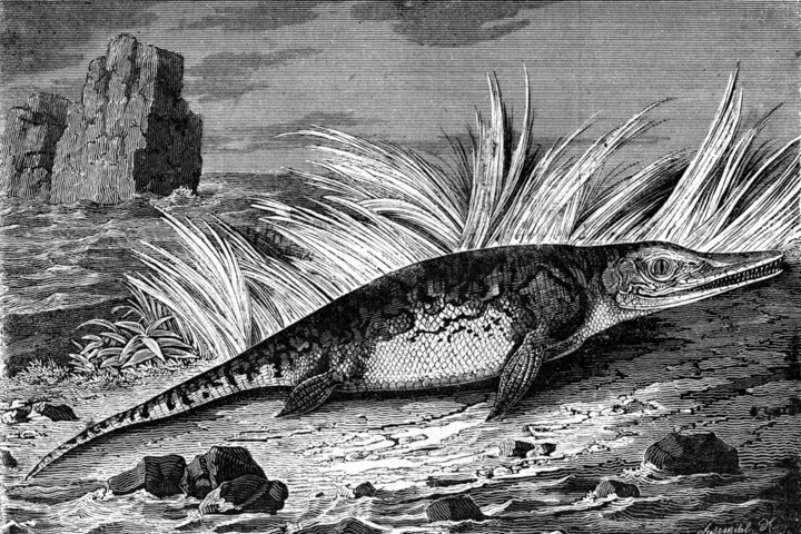 Olyan régi fosszíliát találtak, hogy át kell írni az egyik vízi dinoszaurusz történetét