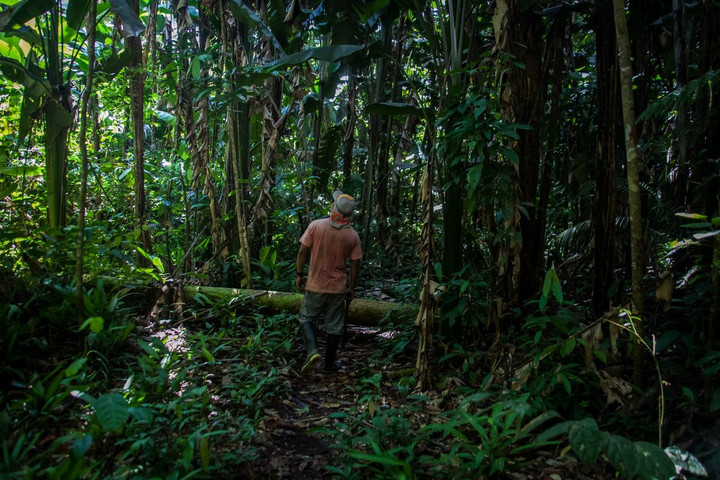 Fotó: Anadolu Agency/Anadolu Agency via AFP/Juancho Torres Egy hónapot élt túl az Amazonas dzsungelében egy eltévedt bolíviai férfi