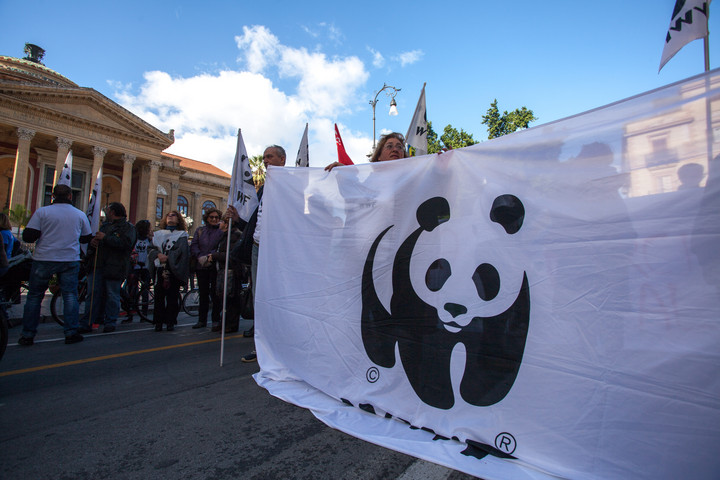 Fotó: NorthFoto Külföldi ügynökké minősítette Oroszország a WWF-t