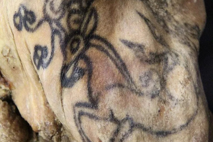 Fotó: Twitter A 2500 éves tetovált „Jéghercegnő” múmia