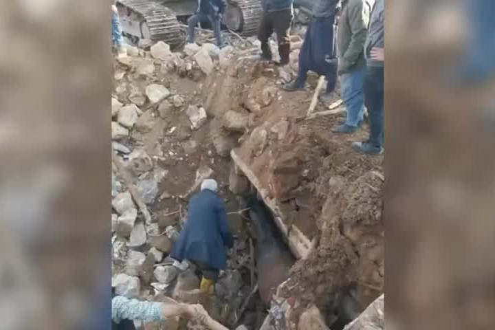 21 nap után, élve mentettek ki egy lovat a romok alól Törökországban