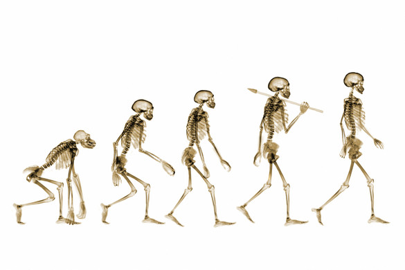 Rémisztő felfedezés: ezt örököltük a neandervölgyi őseinktől
