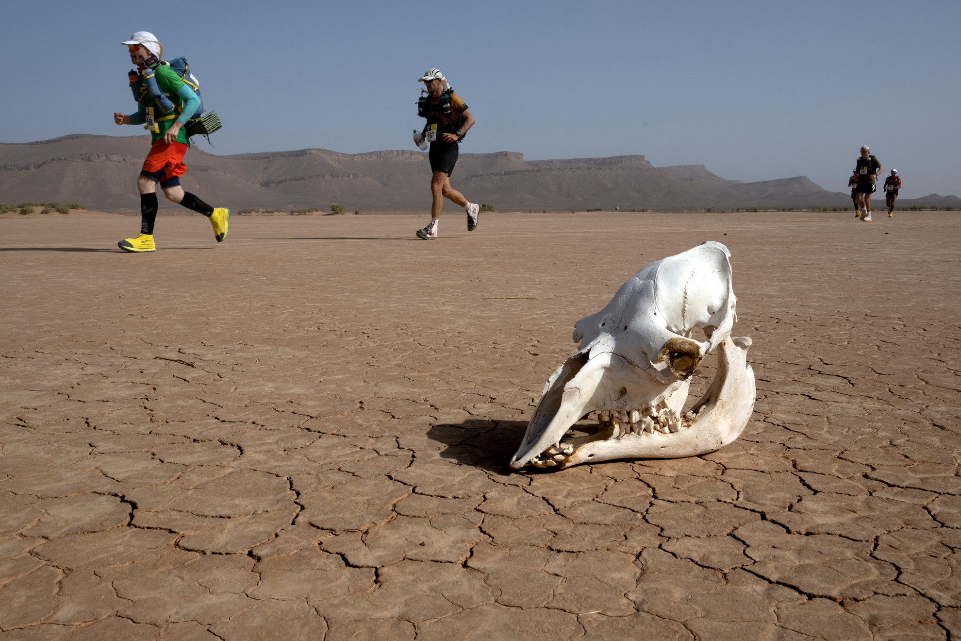 Április 25., kedd: A Föld egyik legkeményebb futó és gyalogló versenyének harmadik szakasza. Marathon des Sables, avagy a Homok Maratonja, vagy Szahara Marathon. Egy hétnapos ultramaraton, amely majdnem hat hagyományos maraton távjának felel meg. 1986 óta minden évben Marokkó déli részén, a Szahara sivatagban rendezik meg. Az idei a 37. alkalom. A 242 kilométeres távra idén 55 országból mintegy 1150 elszánt futó és gyalogló érkezett. A résztvevőknek hátizsákban kell vinniük az élelmet, ruhát és minden szükséges felszerelést a táv teljes szakaszán. A versenyzőknek eddig át kellene vészelniük egy homokvihart, egy zivatart, és 40 fokos hőséget. Kitartást nekik!