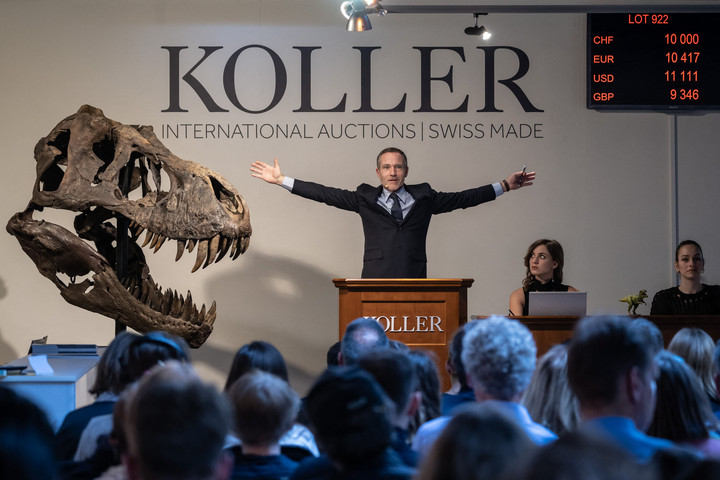 Hihetetlen összegért kelt el egy Tyrannosaurus rex-csontváz