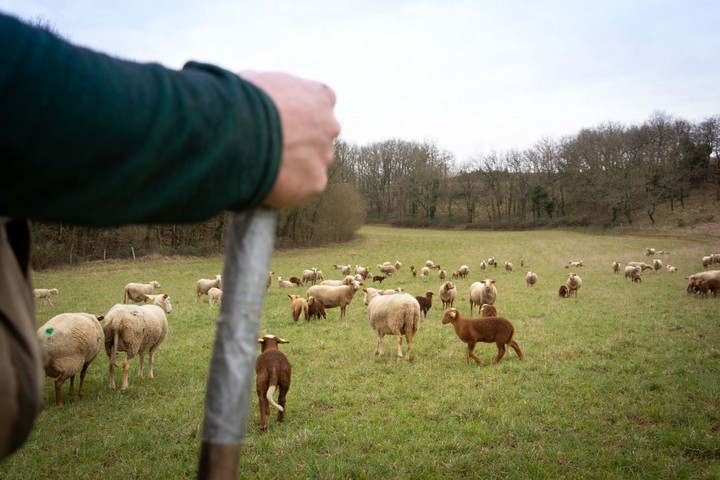 Jó úton halad a Közös Agrárpolitika?