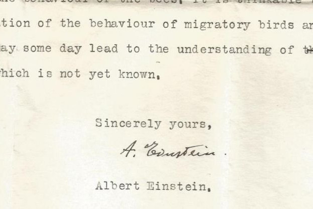 Fotó: Science Alert Einstein azt állította, hogy az állatoknak szuper érzékszerveik vannak