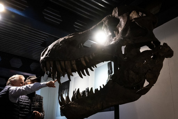 Hátborzongató felvétel: egy tudós megmutatta, milyen hangja volt valójában egy T-rexnek + VIDEÓ