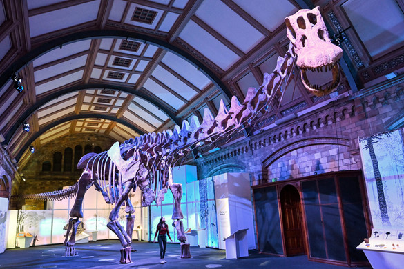 Dinoszaurusz elleni emlőstámadást megörökítő kövületet találtak