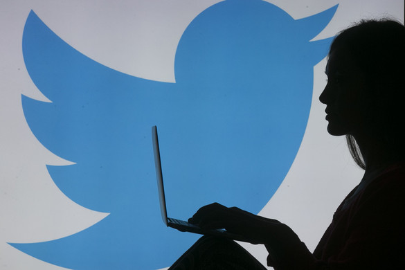 Stephen King felszólította Elon Muskot, hogy a Twitter bevételeit adja Ukrajnának