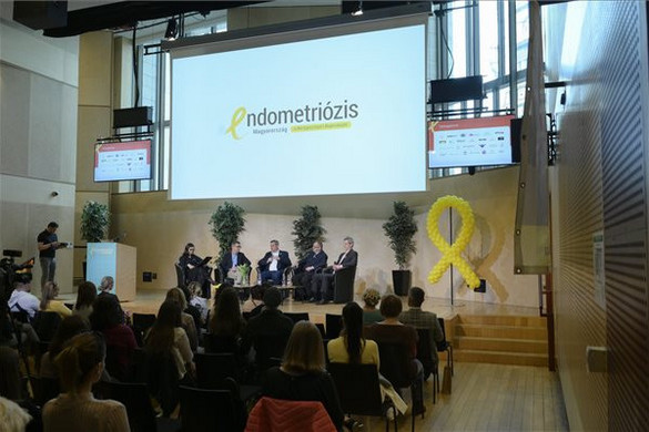 Minden tizedik termékeny korú nőt érint az endometriózis