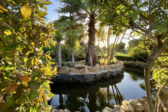 Garden Route, Dél-Afrika 66-os útja