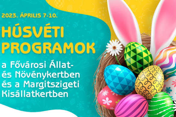 Gyerekprogramok, látványetetések, tojásvadászat a fővárosi állatkertben