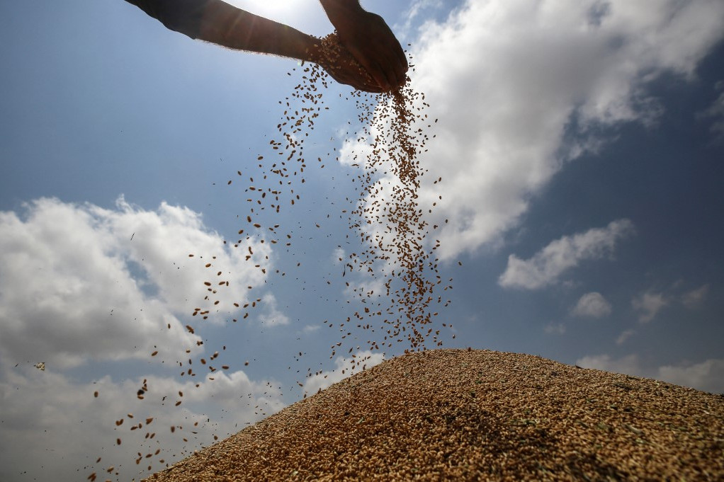 A V4 agrárkamarái határozott lépéseket kérnek az uniós termelők érdekében Kép