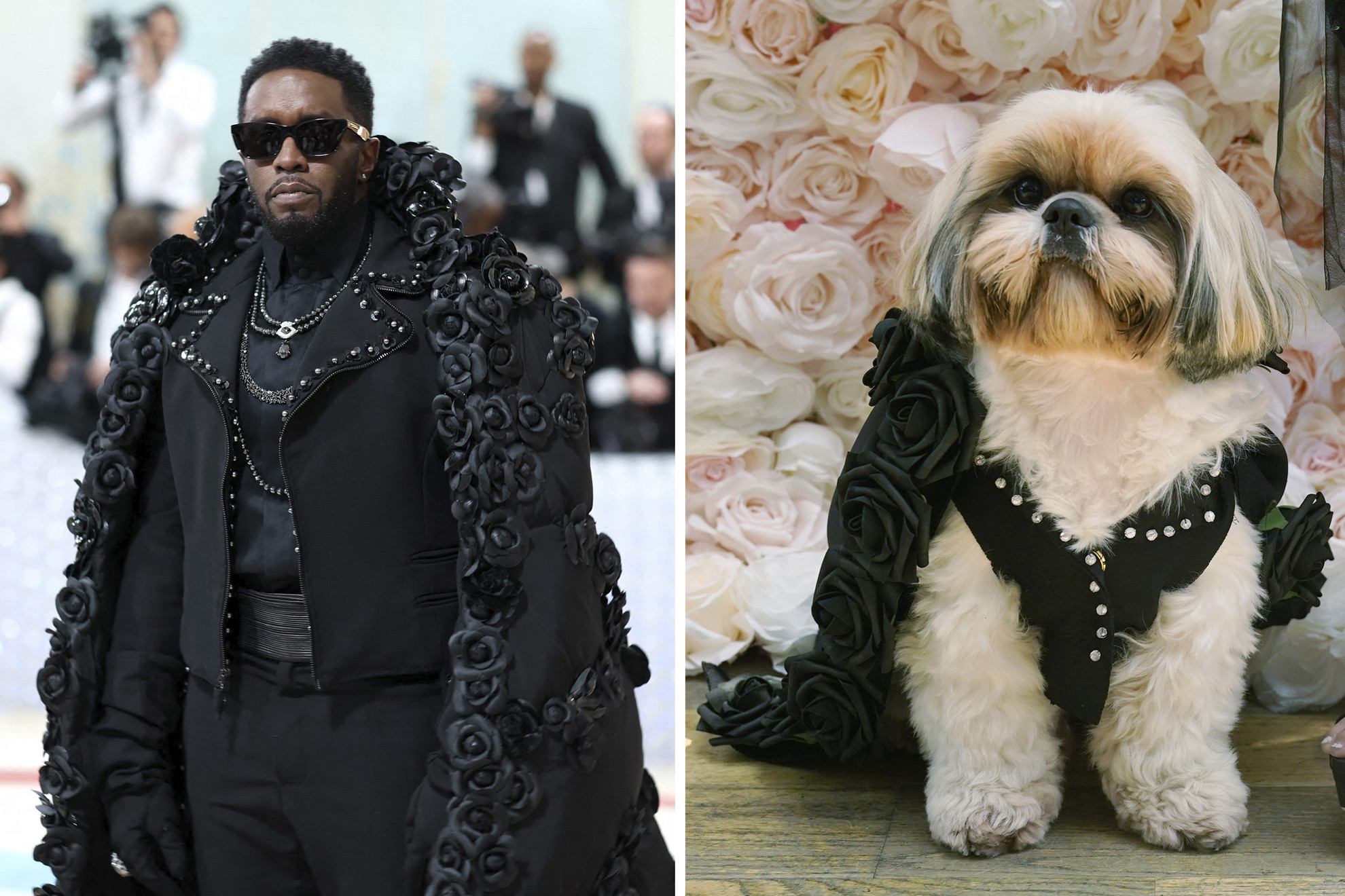 P. Diddy amerikai rapper a Met-gálán New Yorkban 2023. május 1-jén és Gizmo a si-cu a Pet-gálán 2023. május 22-én