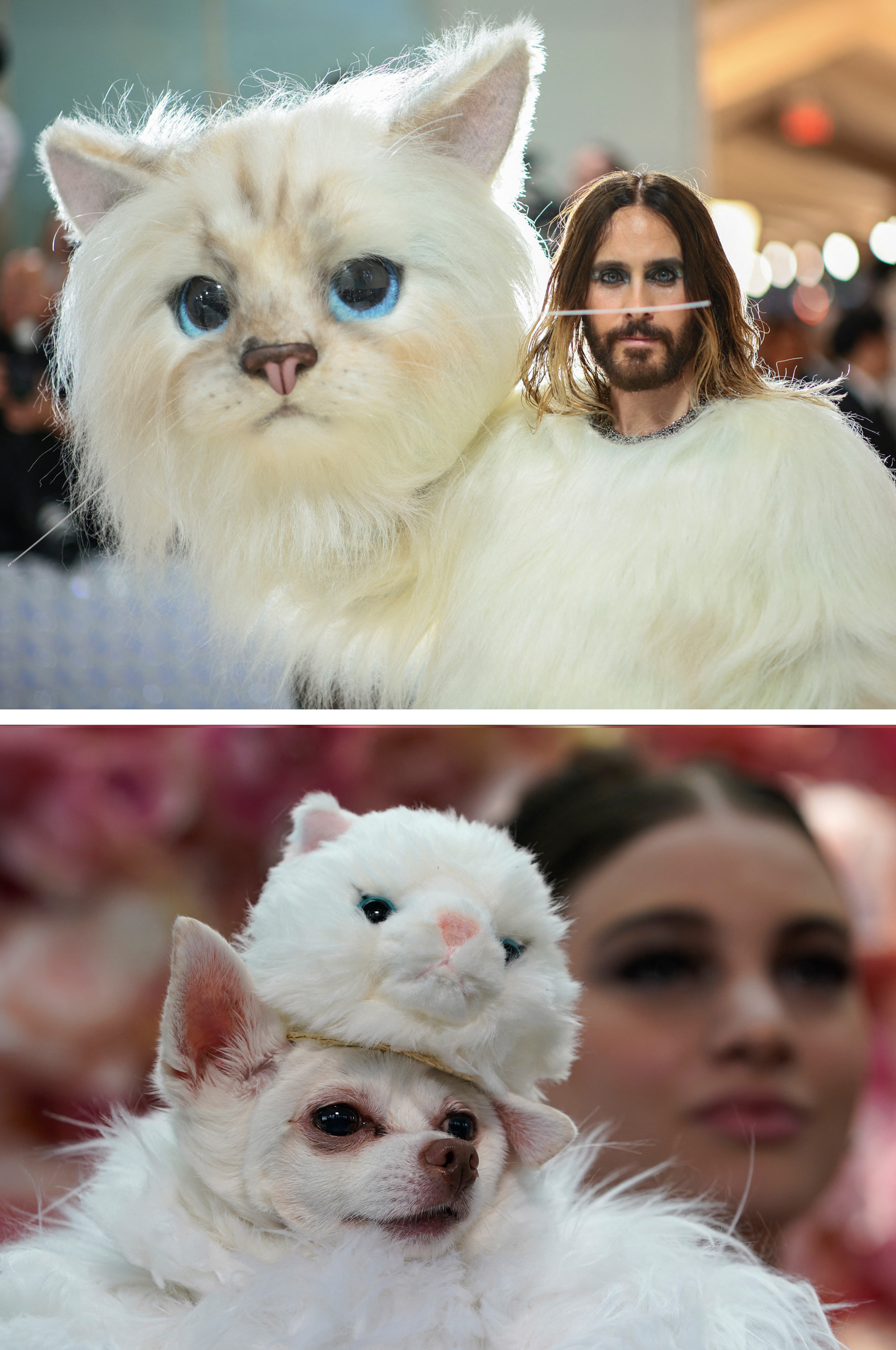 Jared Leto amerikai színész, zenész a Met-gálán New Yorkban 2023. május 1-jén és Kimba a csivava a Pet-gálán 2023. május 22-én