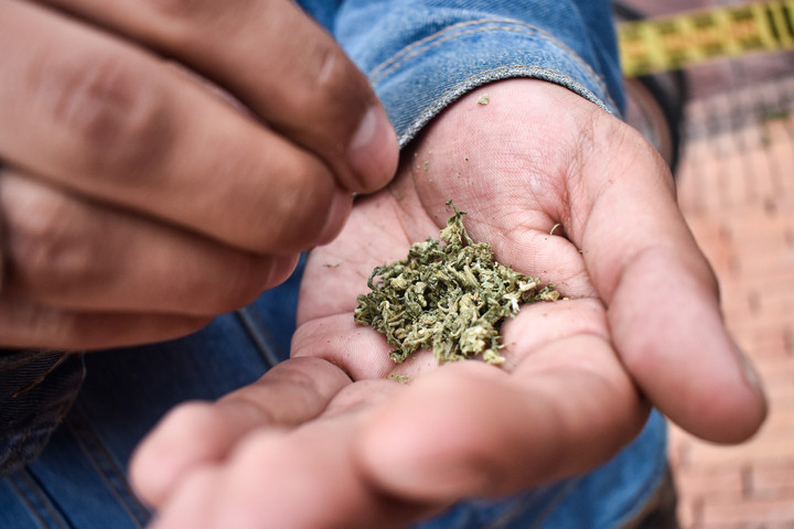 Az amerikai kannabisztermelők elorozzák a thaiföldi termesztők vevőit