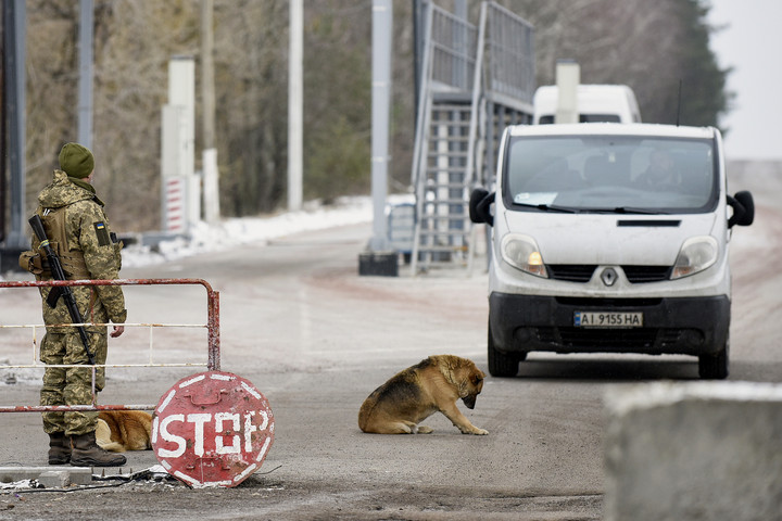 Fotó: NorthFoto Sok ezer kutyát és macskát mentettek meg a halál torkából az önkéntesek