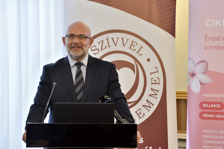 Fotó: MTI/Lakatos Péter Egyre több pár kér segítséget a gyermekvállaláshoz