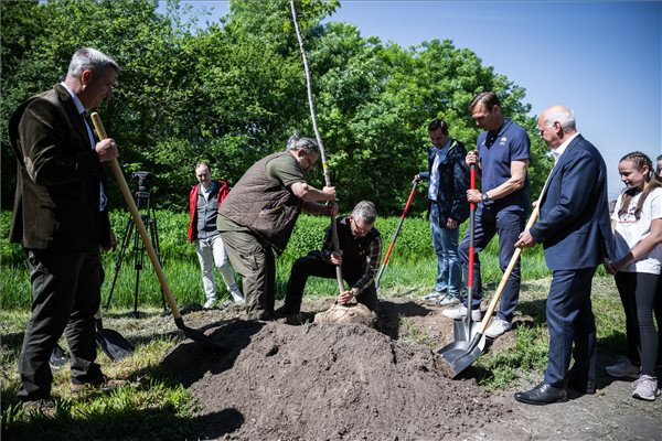 Fotó: MTI/Mónus Márton Faültetéssel mutatták be a vb fenntarthatósági programját