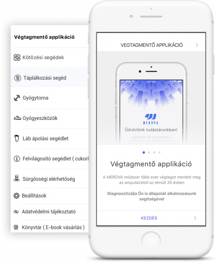 A Végtagmentő nyerte a kamara mesterkurzusát