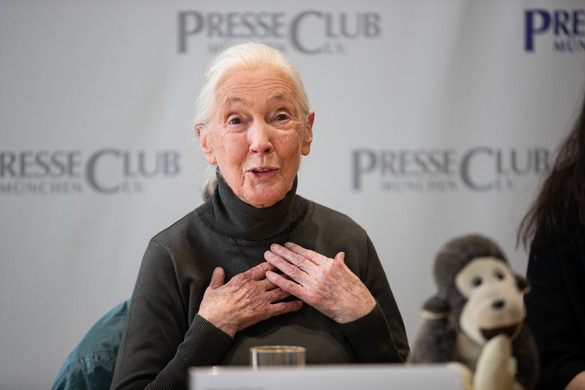 A reményről Jane Goodall-lal