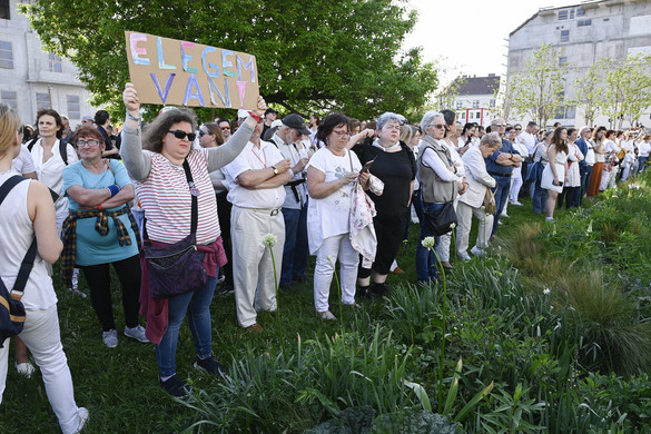 Anyák napja alkalmából a Karmelitánál tüntetett több szervezet