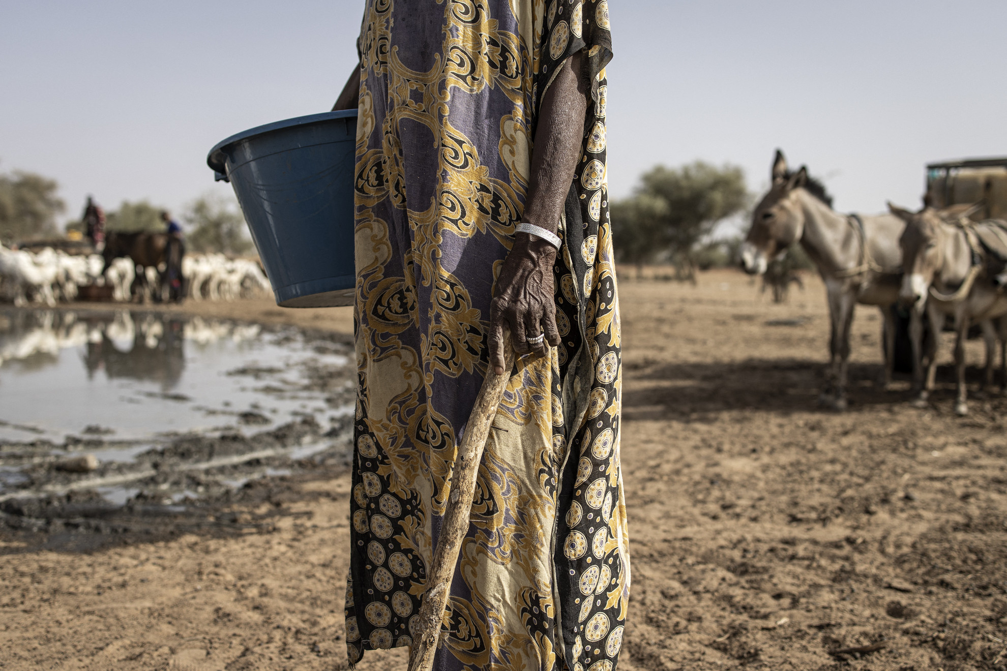 Egy fulani pásztor egy vízvételi ponton Loumbel Lana-ban, Szenegálban 2023. május 19-én. A pásztorok számára a szélsőséges hőség közvetlen hatása, hogy jószágaik kétszer annyit isznak, mint általában. Egy juh naponta körülbelül 2,5 liter vizet iszik, most viszont napi 4-5 literre van szükségük. A pásztoroknak naponta többször is el kell jutniuk az akár 20 kilóméter távolságra lévő vízvételi pontokhoz, és kétszer annyit kell költeniük a vízvásárlásra. Április óta Matam régióját a világ legmelegebb helyének jelölik. A hőmérséklet árnyékban eléri a 48 Celsius-fokot, közvetlen napsütésben pedig az ötven fokot.