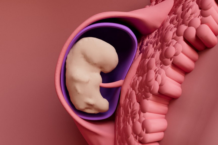Spermiumok és petesejtek nélkül hoztak létre embriókat a tudósok