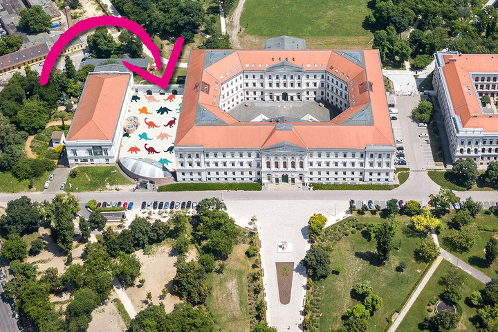 Fotó: Facebook/Magyar Természettudományi Múzeum Orbán Balázs: Maradnak a dinók