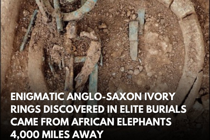 Fotó: Facebook/Bible & Archaeology Hosszú utat tettek meg a rejtélyes angolszász elefántcsontgyűrűk