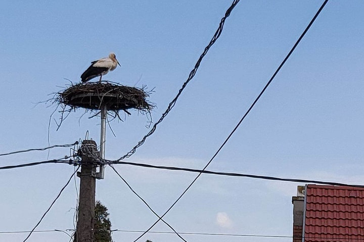 Fotó: Facebook/BirdMania - Madárpark és Természetvédelmi-mentőközpont E.ON: 132 millió forintos madárbarát-fejlesztés Dél-Baranyában