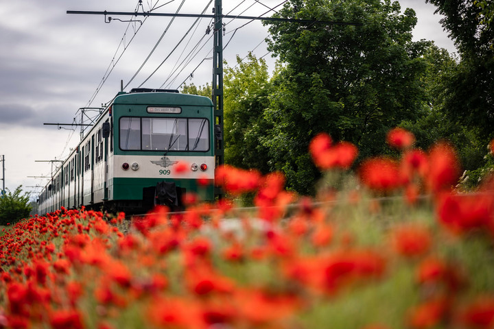 Fotó: Facebook/MÁV-HÉV Zrt. Gázolt a csömöri HÉV Mátyásföldön