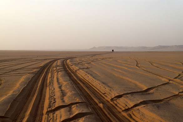Hazai kutatók tehetik termőfölddé a dubaji sivatagot